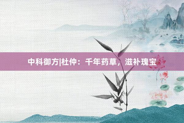 中科御方|杜仲：千年药草，滋补瑰宝