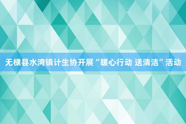 无棣县水湾镇计生协开展“暖心行动 送清洁”活动