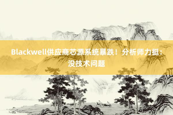 Blackwell供应商芯源系统暴跌！分析师力挺：没技术问题