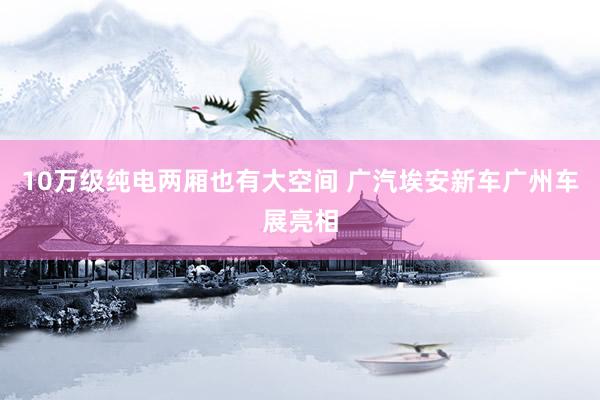 10万级纯电两厢也有大空间 广汽埃安新车广州车展亮相