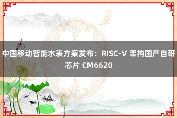 中国移动智能水表方案发布：RISC-V 架构国产自研芯片 CM6620