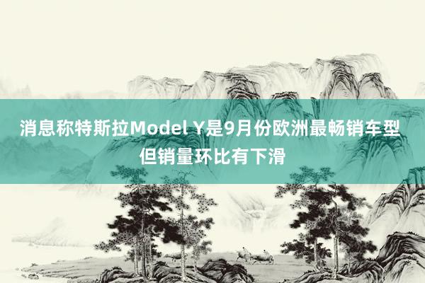 消息称特斯拉Model Y是9月份欧洲最畅销车型 但销量环比有下滑