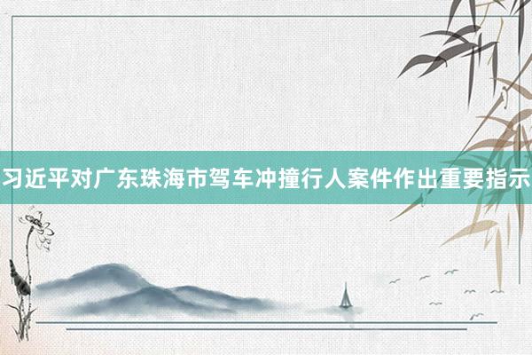 习近平对广东珠海市驾车冲撞行人案件作出重要指示