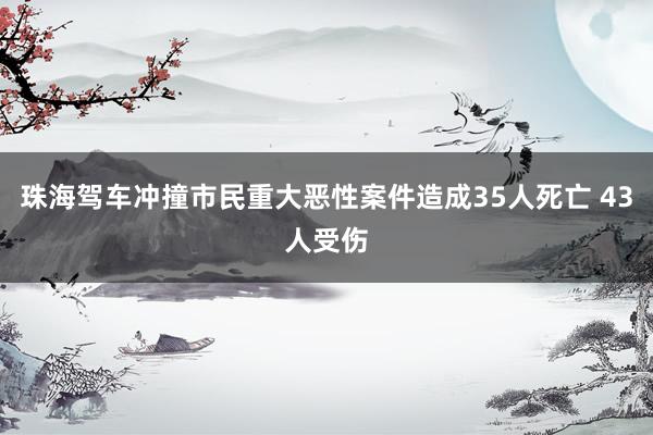 珠海驾车冲撞市民重大恶性案件造成35人死亡 43人受伤