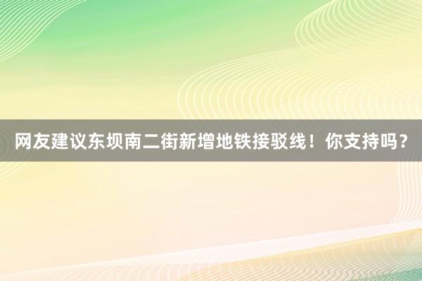 网友建议东坝南二街新增地铁接驳线！你支持吗？