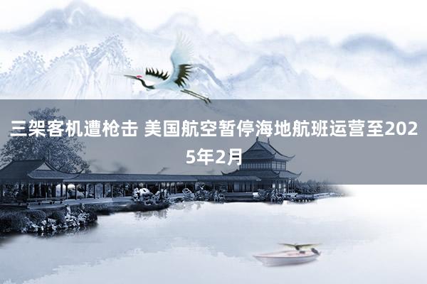 三架客机遭枪击 美国航空暂停海地航班运营至2025年2月