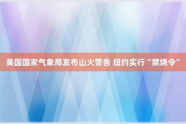 美国国家气象局发布山火警告 纽约实行“禁烧令”