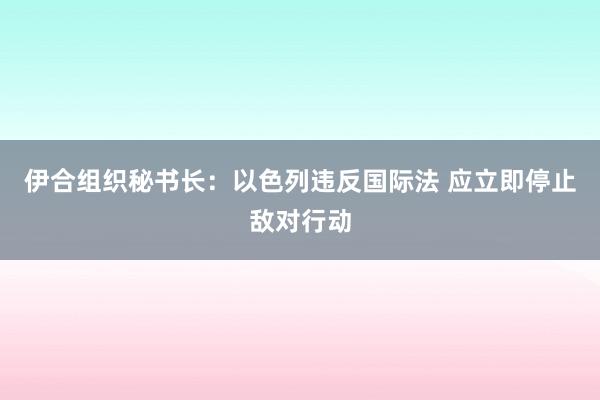 伊合组织秘书长：以色列违反国际法 应立即停止敌对行动