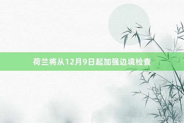 荷兰将从12月9日起加强边境检查