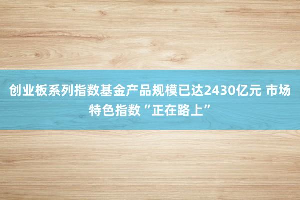 创业板系列指数基金产品规模已达2430亿元 市场特色指数“正在路上”