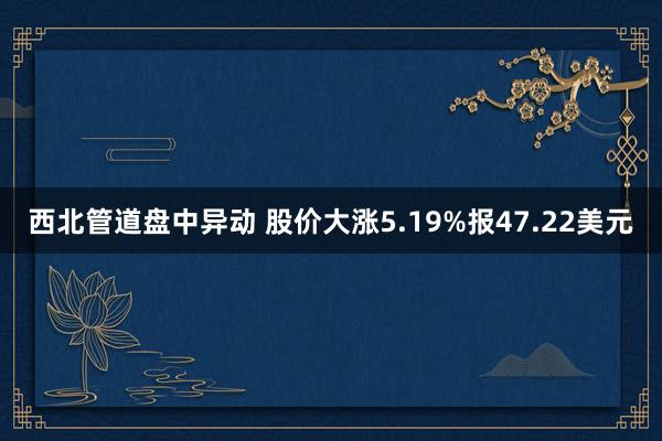 西北管道盘中异动 股价大涨5.19%报47.22美元