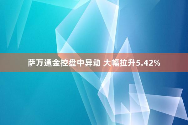 萨万通金控盘中异动 大幅拉升5.42%