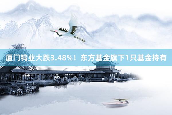 厦门钨业大跌3.48%！东方基金旗下1只基金持有