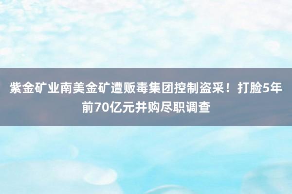 紫金矿业南美金矿遭贩毒集团控制盗采！打脸5年前70亿元并购尽职调查