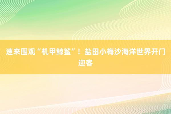 速来围观“机甲鲸鲨”！盐田小梅沙海洋世界开门迎客