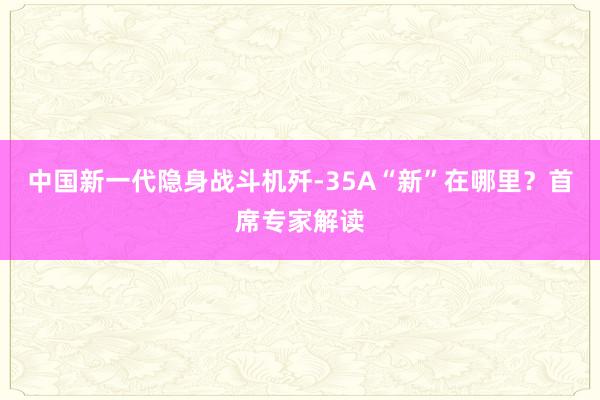 中国新一代隐身战斗机歼-35A“新”在哪里？首席专家解读