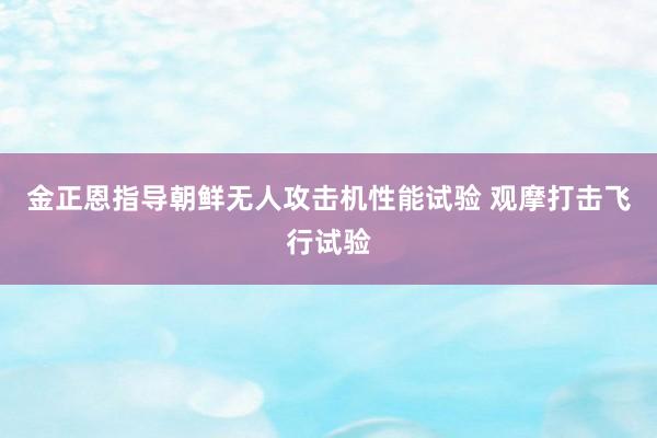 金正恩指导朝鲜无人攻击机性能试验 观摩打击飞行试验