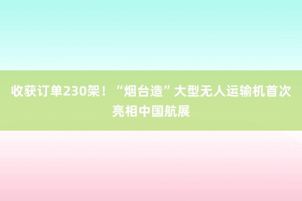 收获订单230架！“烟台造”大型无人运输机首次亮相中国航展