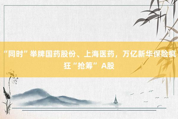 “同时”举牌国药股份、上海医药，万亿新华保险疯狂“抢筹” A股