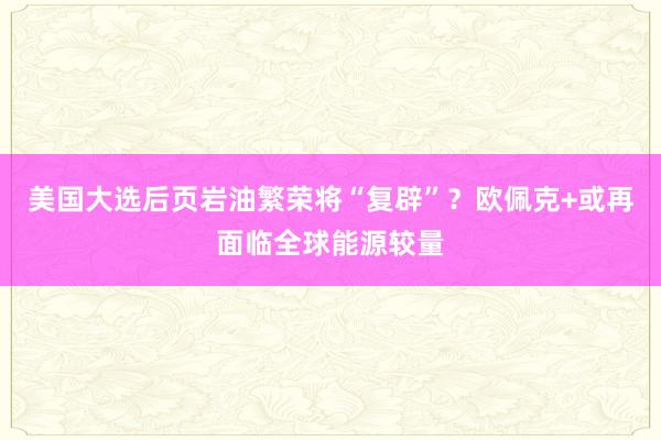 美国大选后页岩油繁荣将“复辟”？欧佩克+或再面临全球能源较量