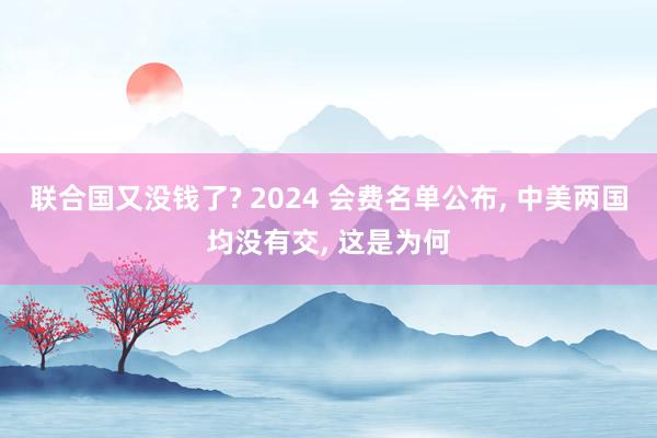 联合国又没钱了? 2024 会费名单公布, 中美两国均没有交, 这是为何