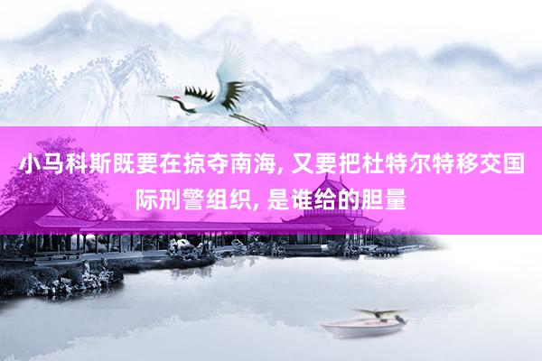 小马科斯既要在掠夺南海, 又要把杜特尔特移交国际刑警组织, 是谁给的胆量