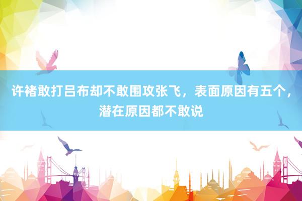 许褚敢打吕布却不敢围攻张飞，表面原因有五个，潜在原因都不敢说