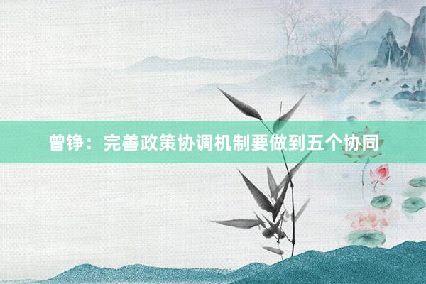 曾铮：完善政策协调机制要做到五个协同