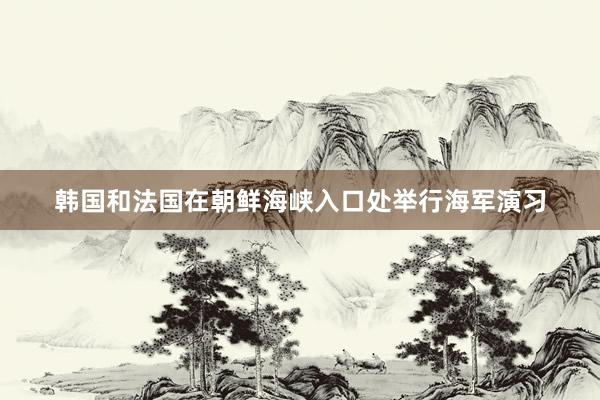 韩国和法国在朝鲜海峡入口处举行海军演习