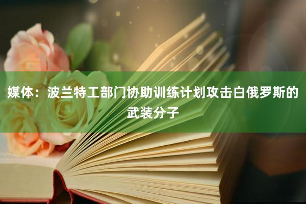 媒体：波兰特工部门协助训练计划攻击白俄罗斯的武装分子