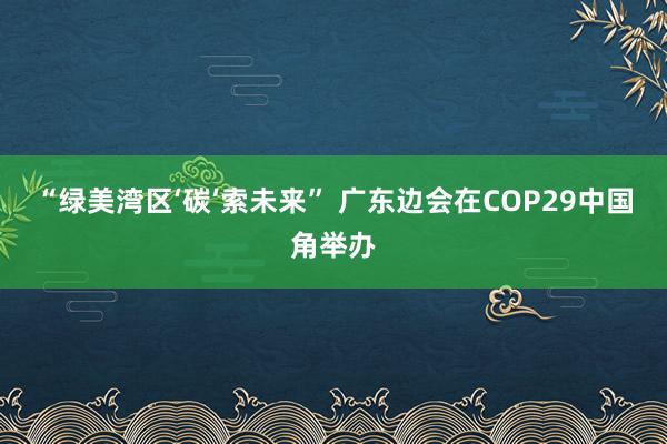 “绿美湾区‘碳’索未来” 广东边会在COP29中国角举办