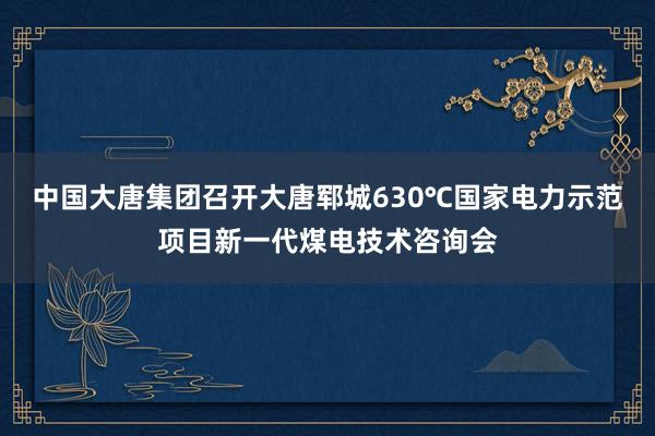 中国大唐集团召开大唐郓城630℃国家电力示范项目新一代煤电技术咨询会