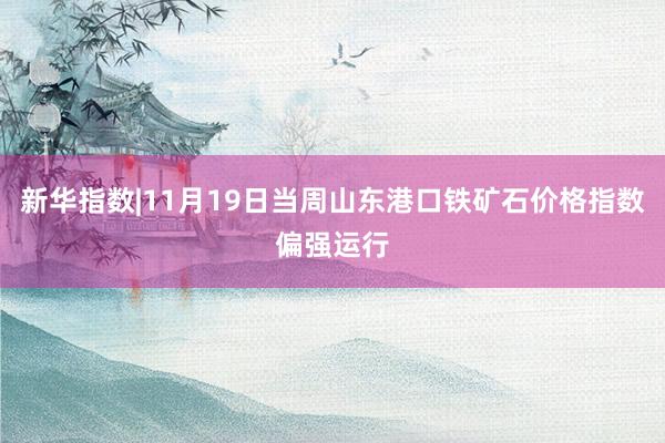 新华指数|11月19日当周山东港口铁矿石价格指数偏强运行