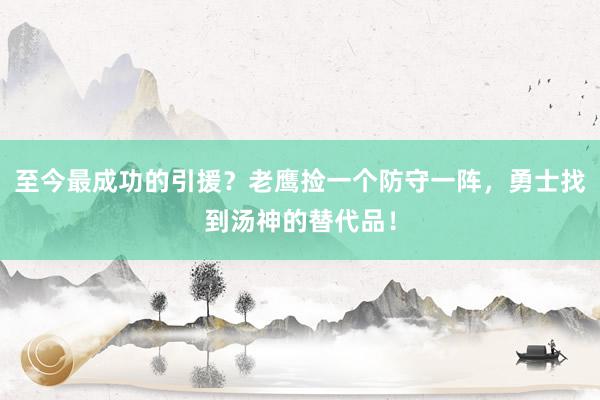 至今最成功的引援？老鹰捡一个防守一阵，勇士找到汤神的替代品！