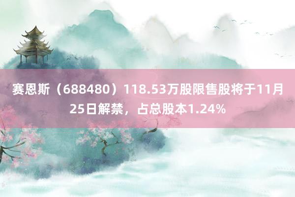 赛恩斯（688480）118.53万股限售股将于11月25日解禁，占总股本1.24%