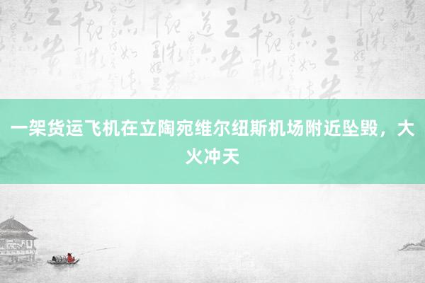 一架货运飞机在立陶宛维尔纽斯机场附近坠毁，大火冲天