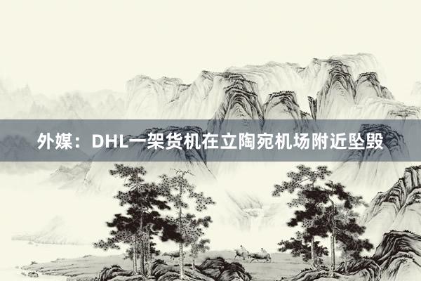 外媒：DHL一架货机在立陶宛机场附近坠毁