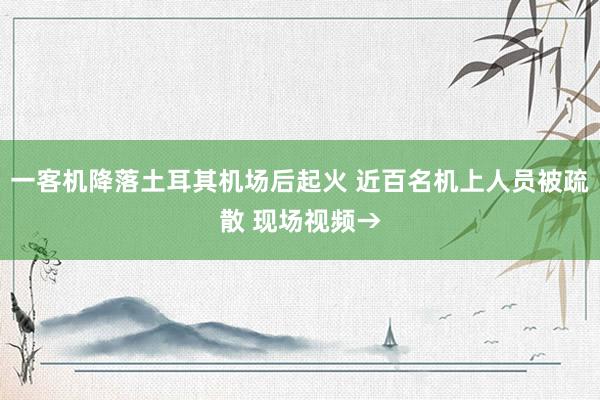 一客机降落土耳其机场后起火 近百名机上人员被疏散 现场视频→