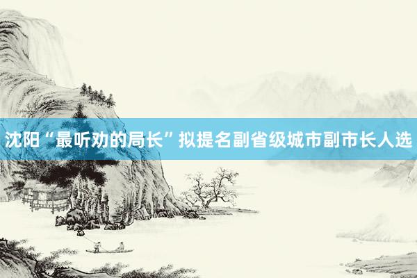 沈阳“最听劝的局长”拟提名副省级城市副市长人选