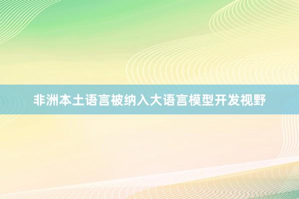 非洲本土语言被纳入大语言模型开发视野