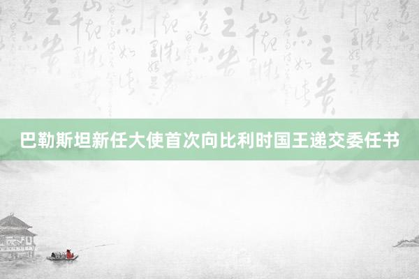 巴勒斯坦新任大使首次向比利时国王递交委任书