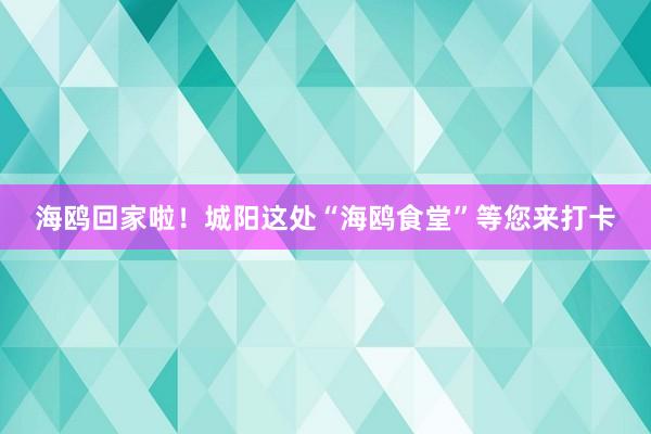 海鸥回家啦！城阳这处“海鸥食堂”等您来打卡