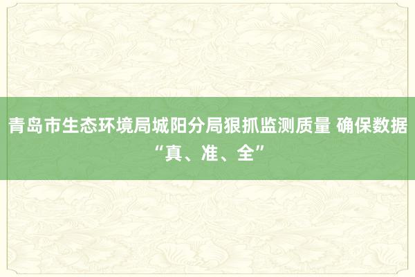 青岛市生态环境局城阳分局狠抓监测质量 确保数据“真、准、全”