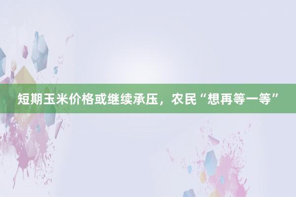 短期玉米价格或继续承压，农民“想再等一等”