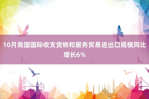 10月我国国际收支货物和服务贸易进出口规模同比增长6%