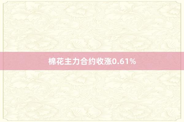 棉花主力合约收涨0.61%