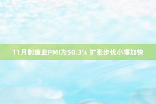 11月制造业PMI为50.3% 扩张步伐小幅加快