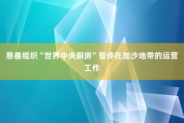 慈善组织“世界中央厨房”暂停在加沙地带的运营工作