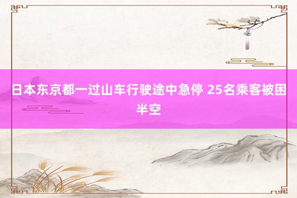 日本东京都一过山车行驶途中急停 25名乘客被困半空