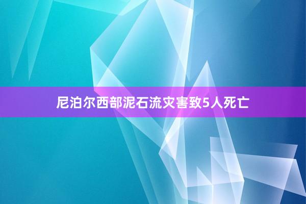 尼泊尔西部泥石流灾害致5人死亡